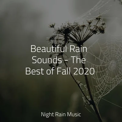 Nature Recordings/Meditative Music Guru/Rest &amp; Relax Nature Sounds Beautiful Rain Sounds - The Best of Fall 2020