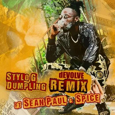 Stylo G Dumpling (dEVOLVE Remix)