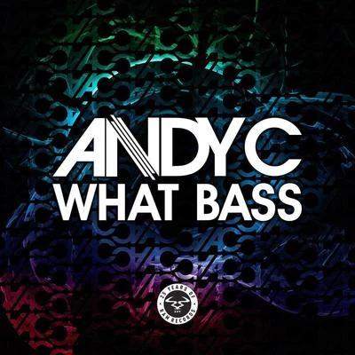 Andy C What Bass