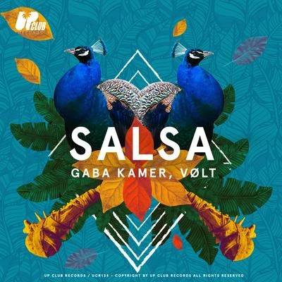 Gaba Kamer Salsa (Extended Mix)