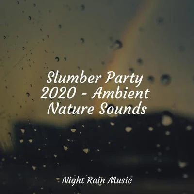 Deep Sleep Music Academy/Nature Sounds XLE Library/Nursery Rhymes ABC Slumber Party 2020 - Ambient Nature Sounds