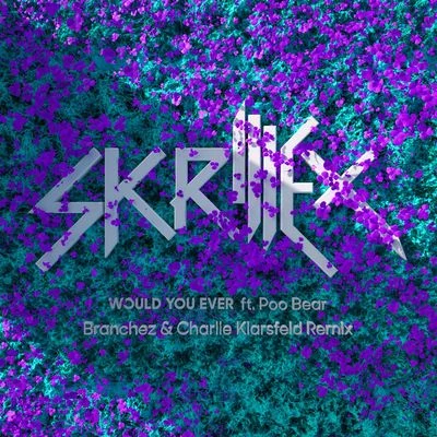 Skrillex/Branchez/Poo Bear would you ever (branch EZ Charlie KL AR sf El的remix)