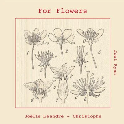 Joëlle Léandre For Flowers