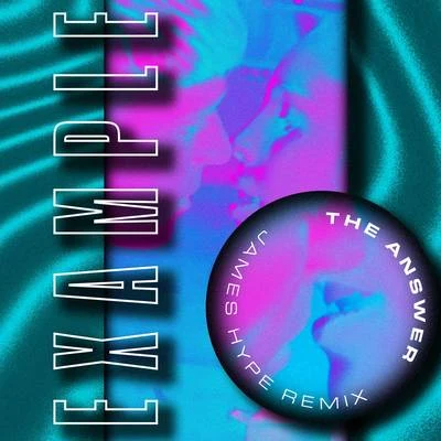 James Hype!/Example The Answer (James Hype Remix)