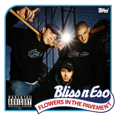 Bliss N Eso Flowers In The Pavement