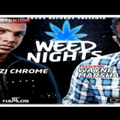 ZJ Chrome **** Nights CDS