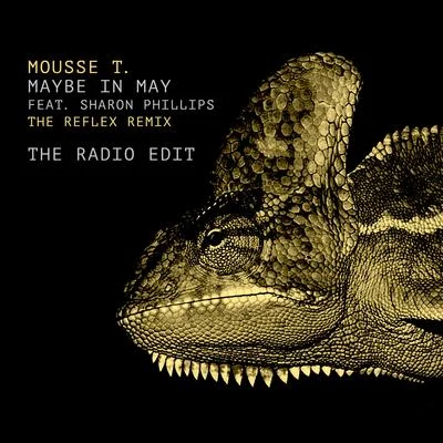 Mousse T. Maybe in May (The Reflex Radio Edit)