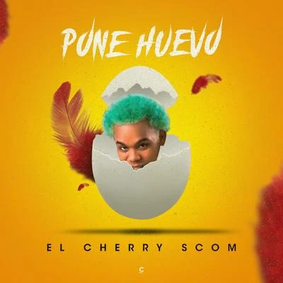 El Cherry Scom Pone Huevo