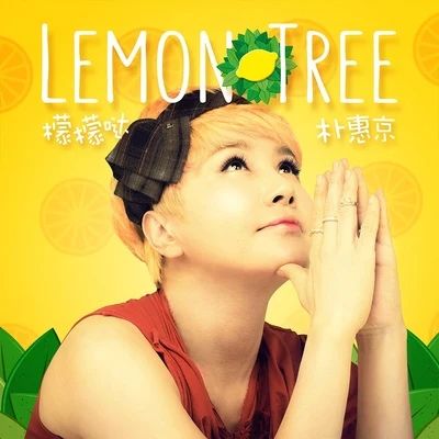 朴慧京 Lemon tree