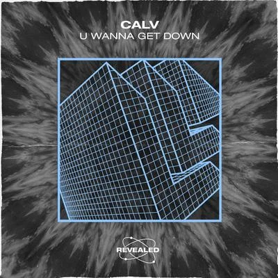 CALV/Revealed Recordings U Wanna Get Down