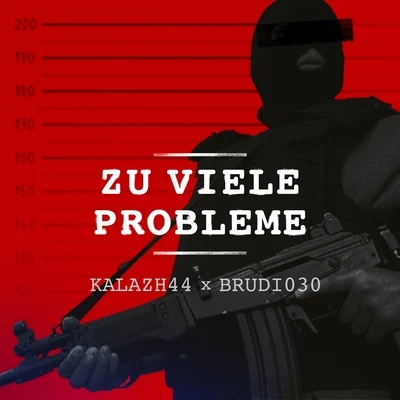 Kalazh44/Brudi030 Zu viele Probleme