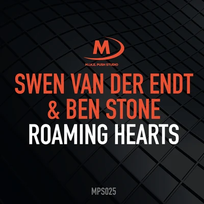 Ben Stone/Swen Van Der Endt Roaming Hearts