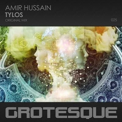 Amir Hussain Tylos