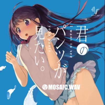 MOSAIC.WAV 君のパンツが見たい。