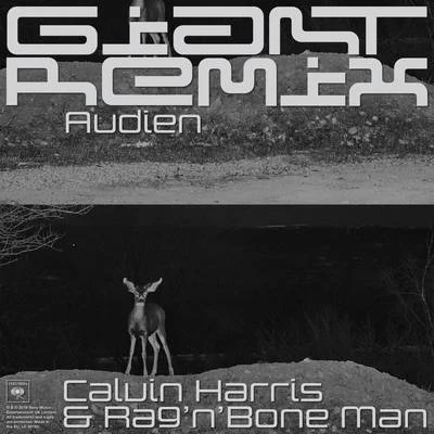 RagNBone Man/Calvin Harris Giant (Audien Remix)