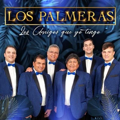 Los Palmeras Los Amigos Que Yo Tengo