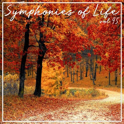 Tölzer Knabenchor Symphonies of Life, Vol. 95 - Di Lasso: Busspalmen II