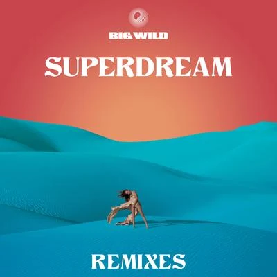 Big Wild Superdream (Remixes)