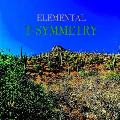 Elemental T-Symmetry