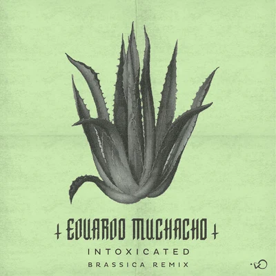 Eduardo Muchacho/Brassica Intoxicated (Brassica Remix)