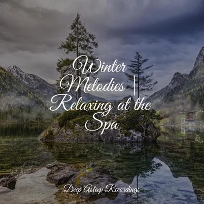 Binaural Beats/Meditation Winter Melodies | Relaxing at the Spa