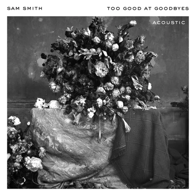 Sam Smith Too Good At Goodbyes (Acoustic)