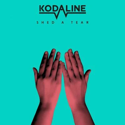 Kodaline Shed a Tear