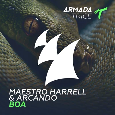 Maestro Harrell/Arcando Boa