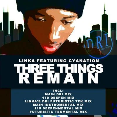 Linka Three Things Remain