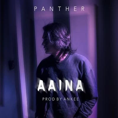 Panther Aaina