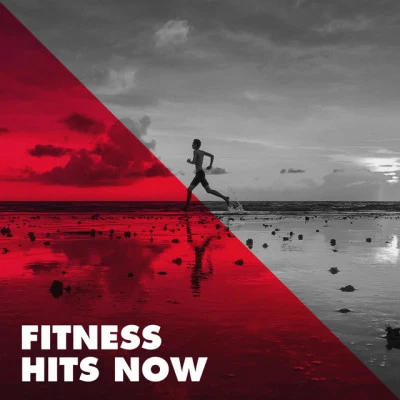 Workout Buddy/Ibiza Fitness Music Workout/Workout Rendez-Vous Fitness Hits Now