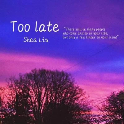 劉潤潼 Too Late