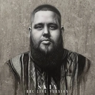 RagNBone Man Skin (Remixes)