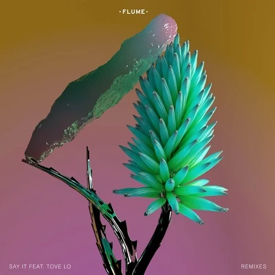 Flume Say It (Remixes)