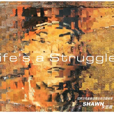 宋岳庭 (Shawn) Life's A Struggle