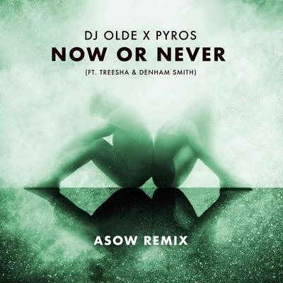 Denham Smith/Pyros/Asow/DJ Olde/Treesha Now or Never (feat. Treesha & Denham Smith) [Asow Remix]