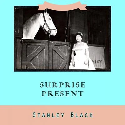 Stanley Black Surprise Present