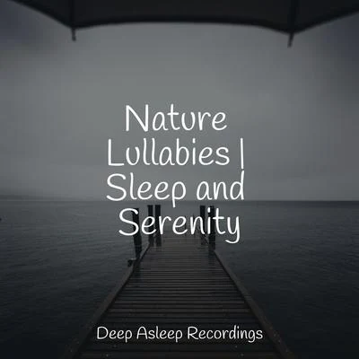 Yoga Soul/Calm Shores/Wellness Nature Lullabies | Sleep and Serenity