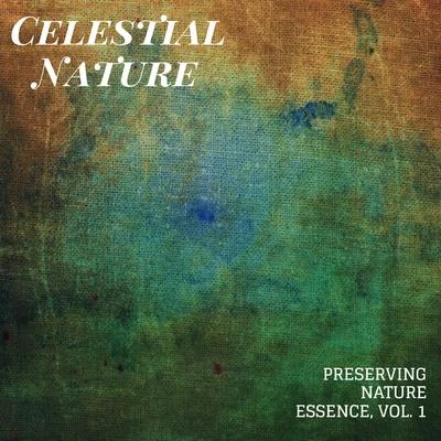 Nature Sounds/Rain Sounds For Sleep/White Noise Meditation Celestial Nature - Preserving Nature Essence, Vol. 1