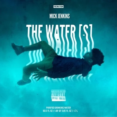 Mick Jenkins The Water[s]