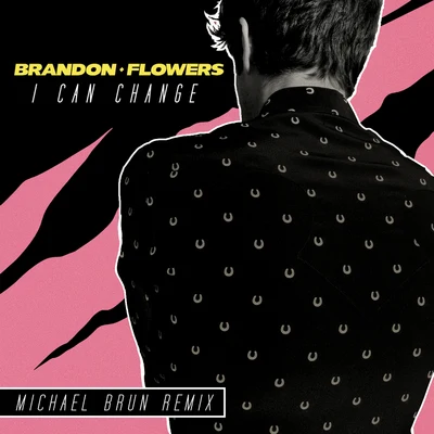 Brandon Flowers I Can Change（ Michael Brun Remix）