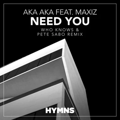 AKA AKA Need You (Who Knows & Pete Sabo Remix)