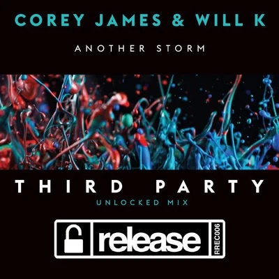 Third Party Another Storm (Third Party Unlocked Extended Mix)