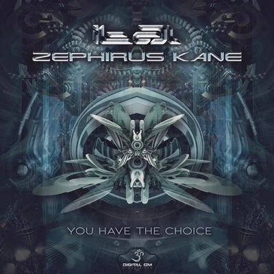 Zephirus Kane/Ital You Have the Choice