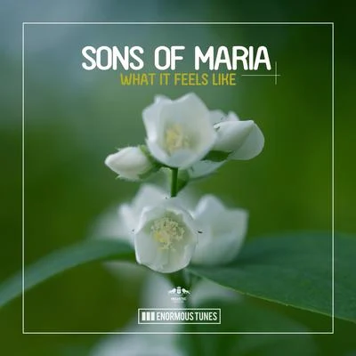 Sons Of Maria What It Feels Like