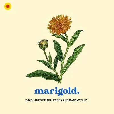 Dave James Marigold