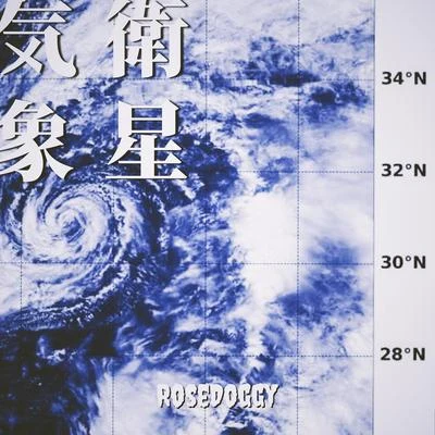 rosedoggy 気象衛星