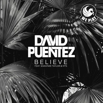 David Puentez Believe