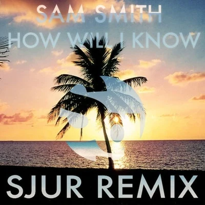 SJUR How Will I Know (SJUR Remix)