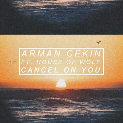 Arman Cekin Cancel on You